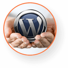 Custom WordPress Development Services