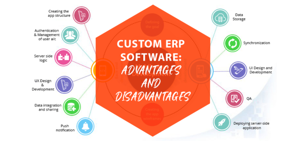 CUSTOM ERP SOFTWARE: ADVANTAGES AND DISADVANTAGES