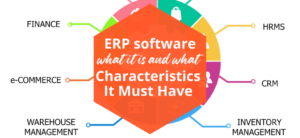 Custom Erp Software: Advantages And Disadvantages