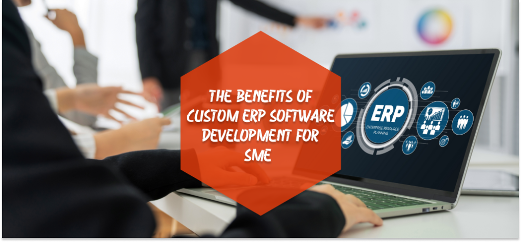 erp software development