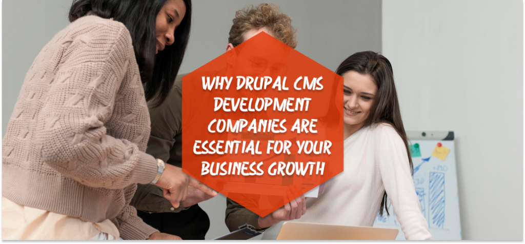 Drupal CMS Development Company