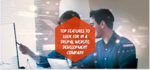 Drupal Website Development Company